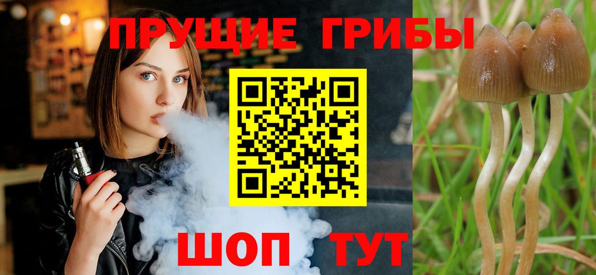 Галлюциногенные грибы мухоморы  Вход с VPN  Тула  Псилоцибиновые грибы Magic Shrooms 